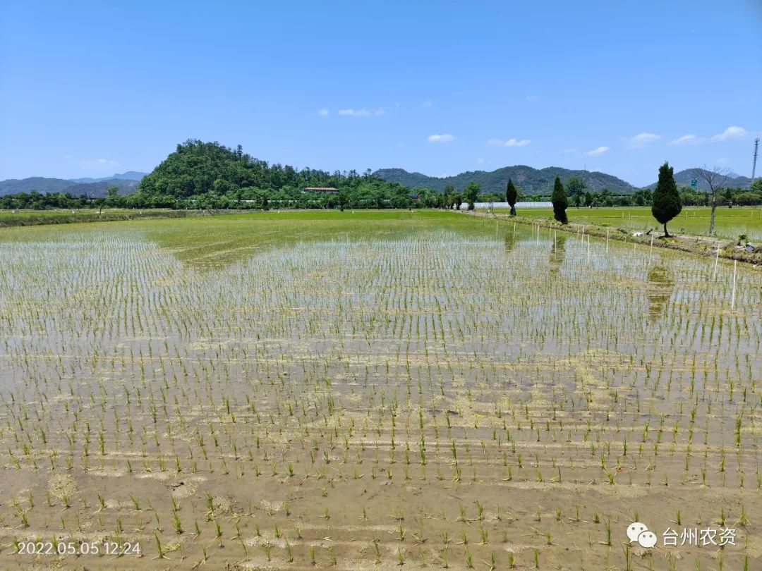 臺州農(nóng)資